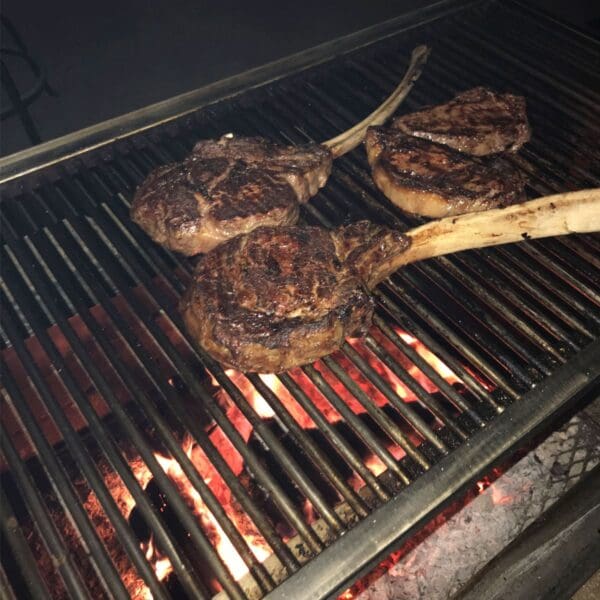 Rod grate on a wood burning Gaucho grill