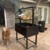 Portable gaucho grill for grilling corn and meat